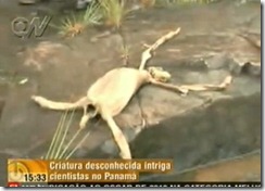 Cerro Azul Monster: a ground sloth&nbsp;indeed