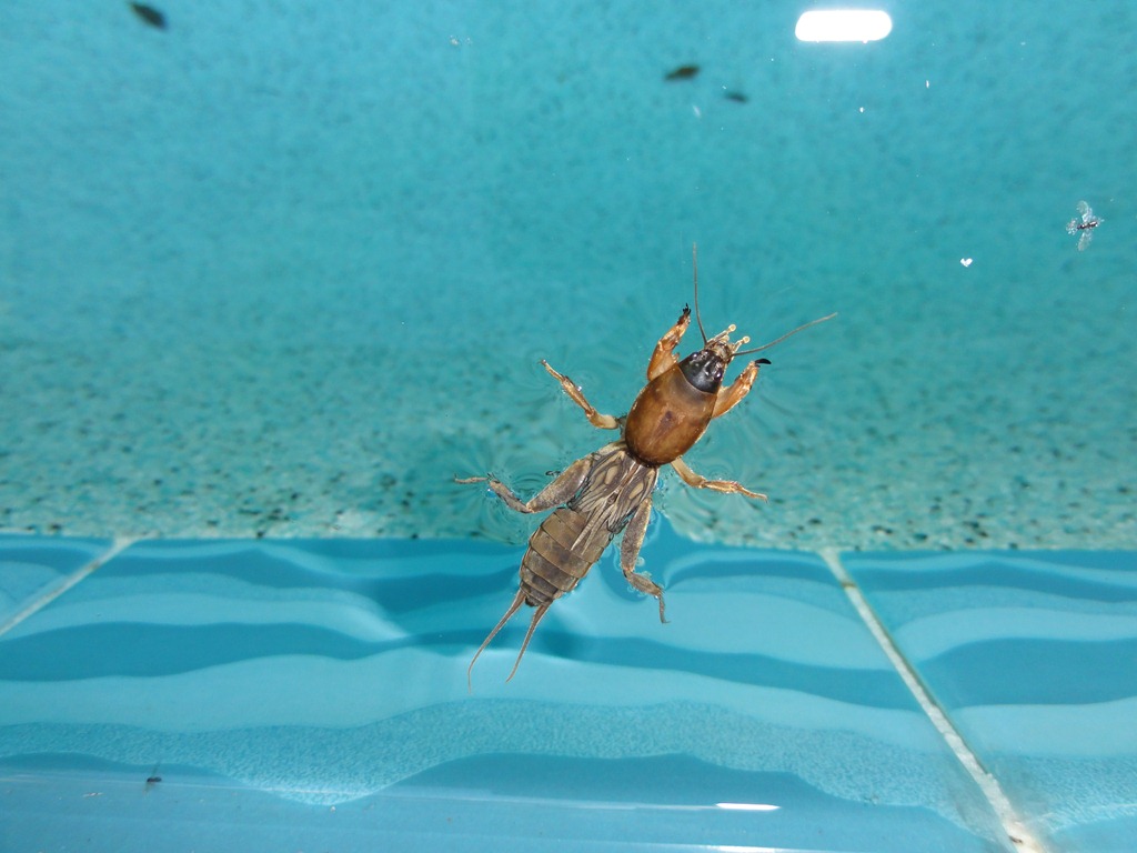 The Bug and the&nbsp;Rainbow