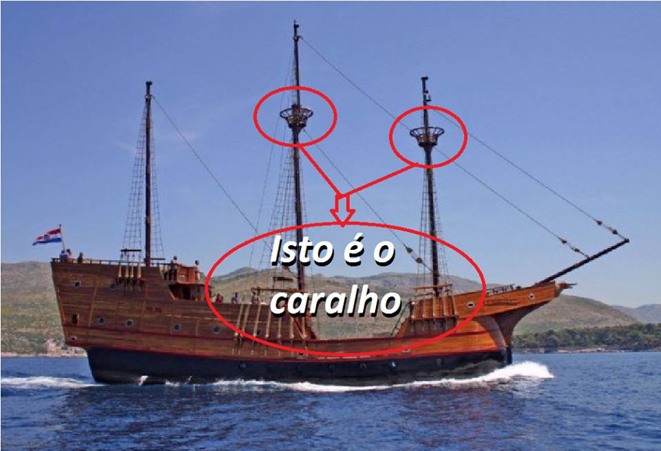 11041658_869482416460533_4522782012179669442_n